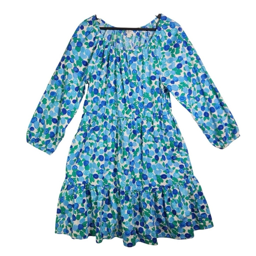 J. Crew Blue and Green Floral Long Sleeve Dress